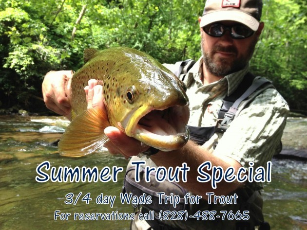 Summer Trout Special, Fly Fishing the Smokies, Great Smoky Mountains National Park, Fly Fishing Guides in Gatlinburg, Pigeon Forge, Sevierville, Trout Fishing