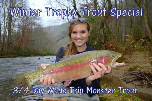 Winter Trophy Trout Special, Fly Fishing Guides in Gatlinburg Pigeon Forge Cherokee Bryson City,
