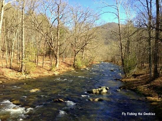 Hazel Creek, Fly Fishing, Great Smoky Mountains National Park, Fly Fishing the Smokies, Hazel Creek Camping