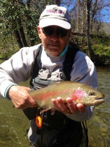 Fly Fishing Guides in Gatlinburg and Pigeon Forge