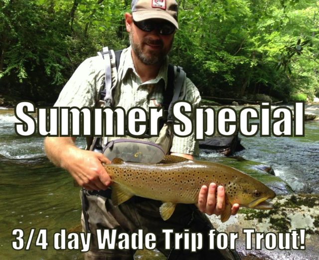 Summer Trout Special, Gatlinburg Fly Fishing Guides, Pigeon Forge Fly Fishing Guides, Sevierville Fly Fishing Guides
