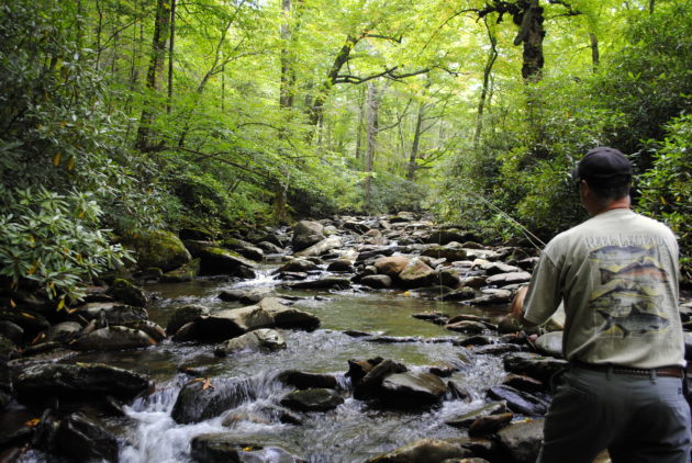 Contact, 828-488-7665, Fly Fishing the Smokies, Fly Fishiing Guides Great Smoky Mountains National Park, Gatlinburg Fly Fishing Guides
