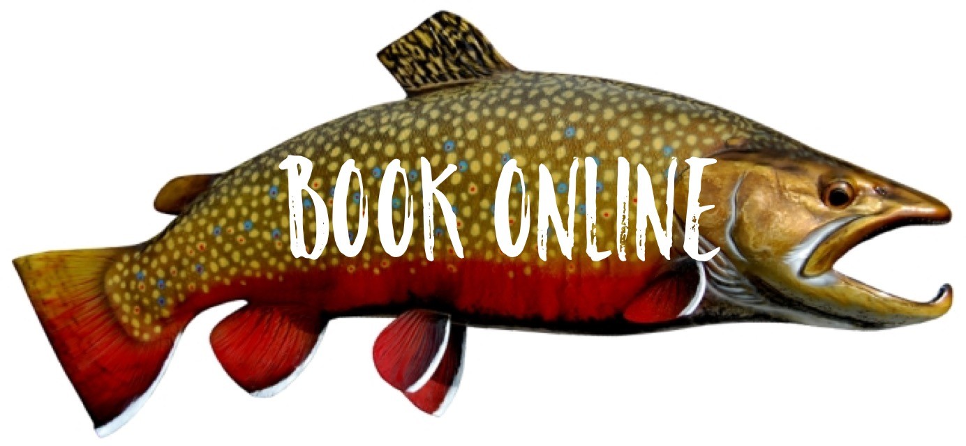 Fly Fishing Guides Smoky Mountains Gatlinburg, Sevierville, Pigeon